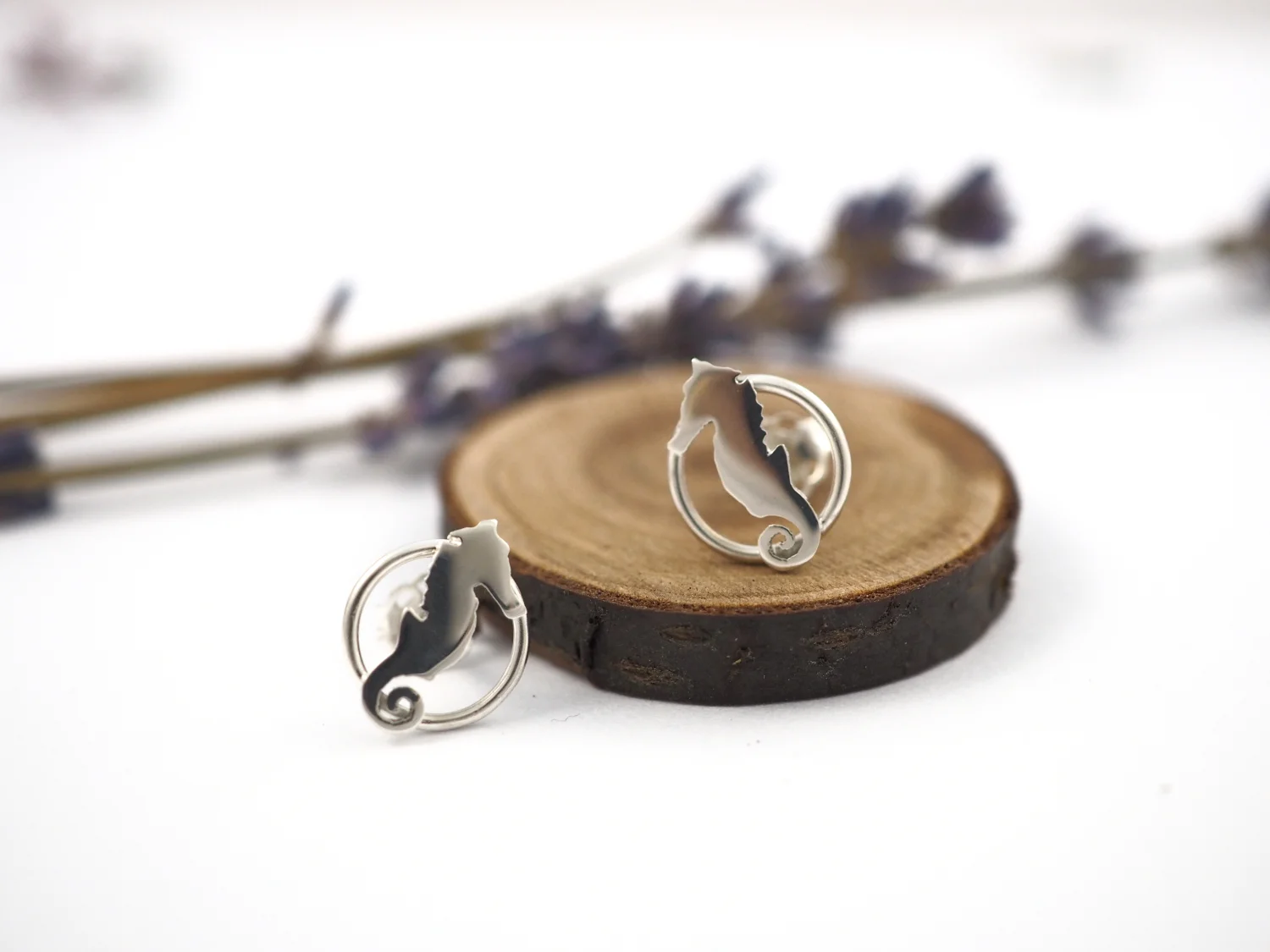 Kolczyki koniki morskie