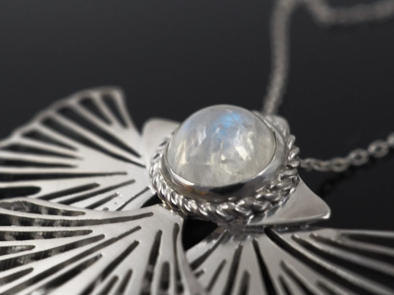 Księżycowy wachlarz